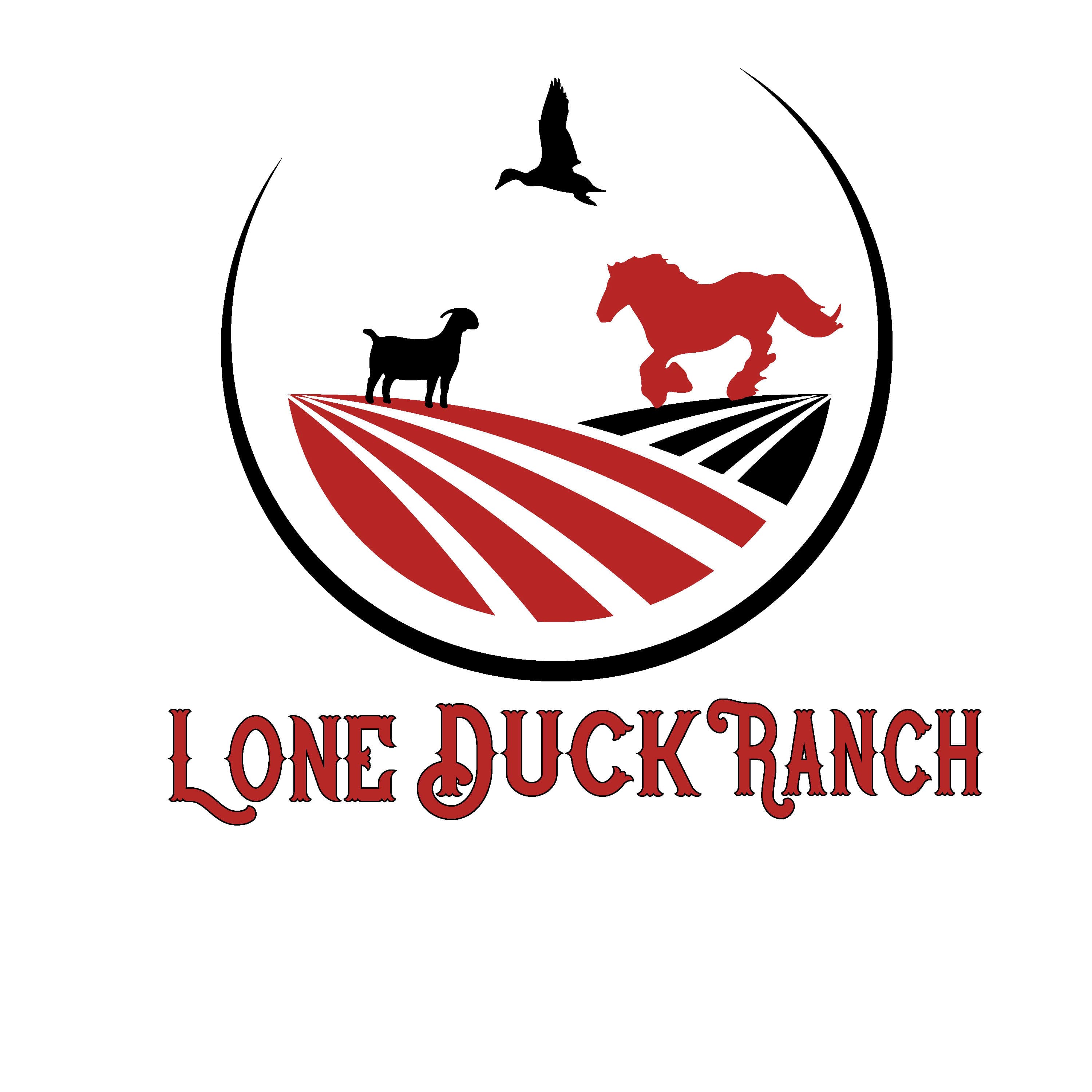 LDR Estates 2 logo